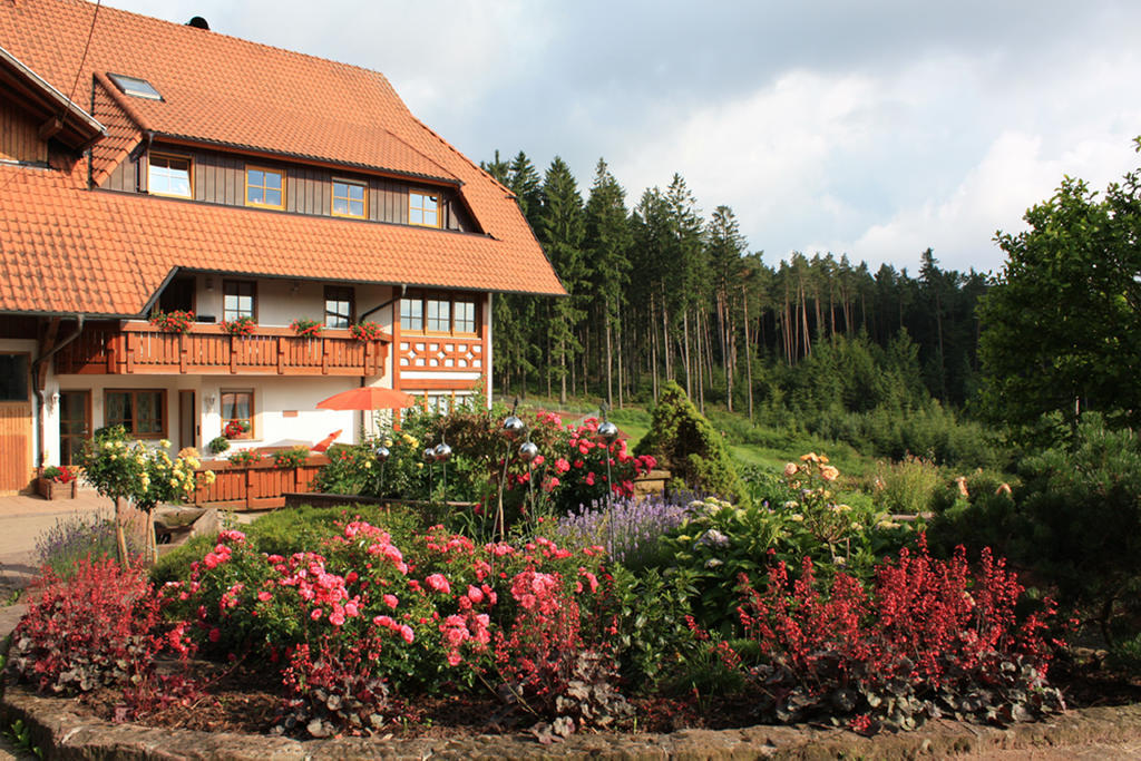 Schlosshof - Der Urlaubsbauernhof Villa Elzach Exterior photo